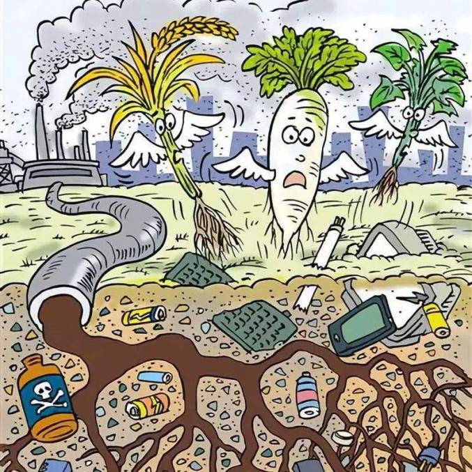 垃圾不分類的危害你了解嗎？