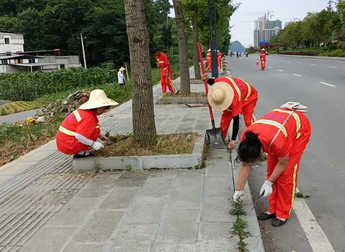 新項目 新篇章！——遵義市匯川區分公司匯川區環衛市場化項目（一標段）正式啟動