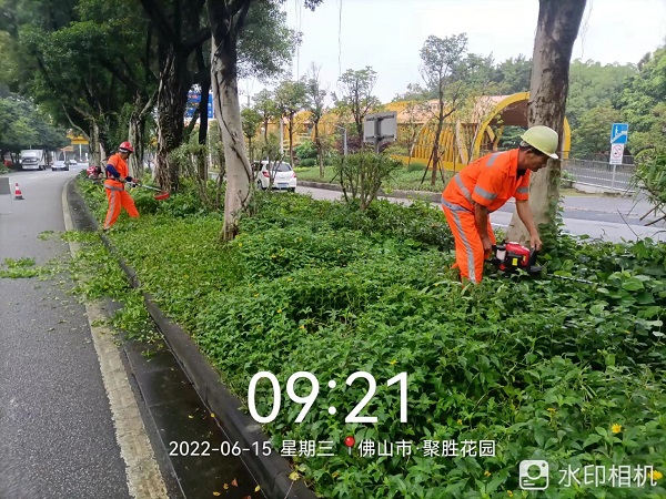 項目動態 | 打造美麗鳳城，築文明城市生態
