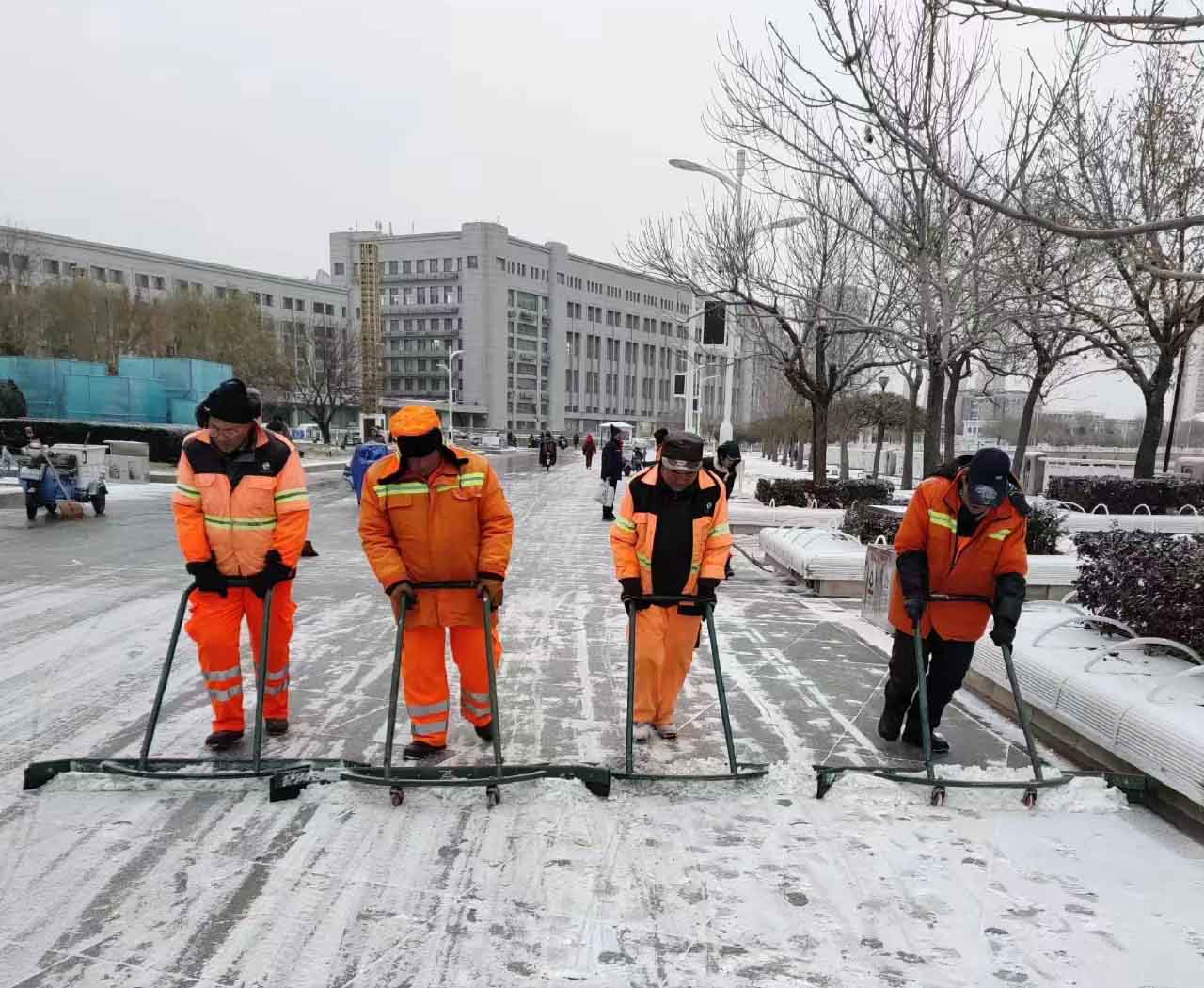 以雪為令 保障出行 | 大雪紛飛而至，青青草原网址人清雪忙