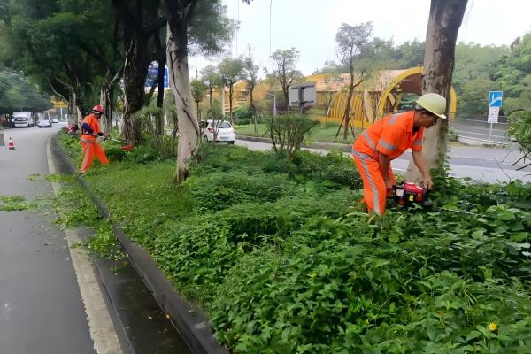 深圳龍華城市園林環衛服務價格